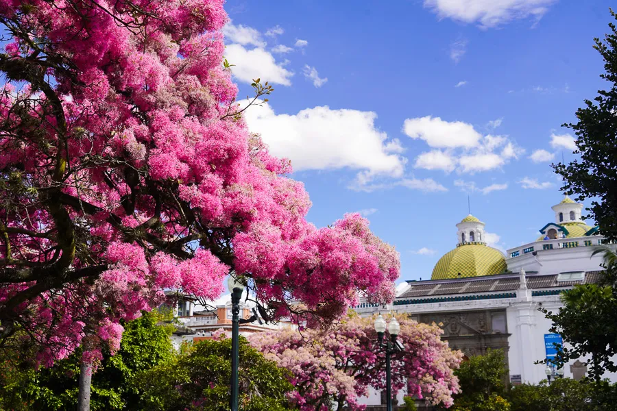 Quito